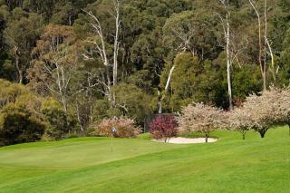 Mount Lofty Golf Course - 2