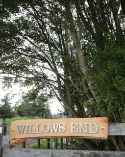 Willow's End - Hamurana - 9