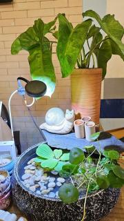 Khoi Homestay - Ho Chi Minh - 6