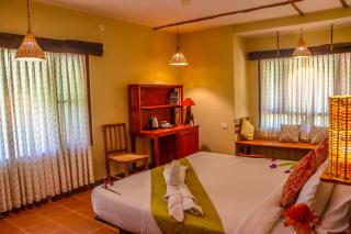 Beyond Eco Living - Munnar - 7