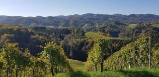 Muster Bernhard und Gertrud vlg. Trautenhof - Leutschach - 2