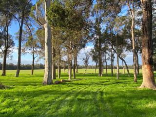 DONN4254S - Wilga Farm Stay - Shearer's Shack Single - Boyup Brook - 4