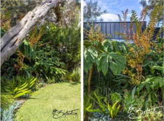 Rye Botanica-Swim Spa renovated amazing garden - Rye - 2