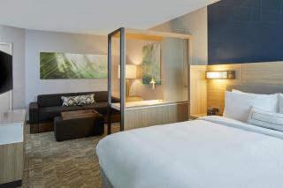 SpringHill Suites Charlotte at Carowinds - Charlotte - 5