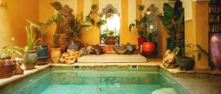 Riad Persephone - Marrakech - 0
