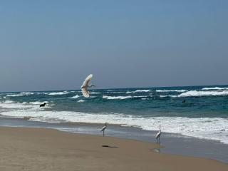 GO to apartments in Leonardo - Bat Yam - 5