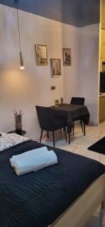WARSZAWA CENTRAL HOUSE - Studios in Warsaw with Private Jacuzzi, full access to Sauna, Gym and Billards - Studia z prywatnym Jacuzzi oraz dostępem do sauny, siłowni i bilarda - 1
