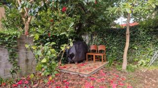 Wonderland - New Plymouth - 2