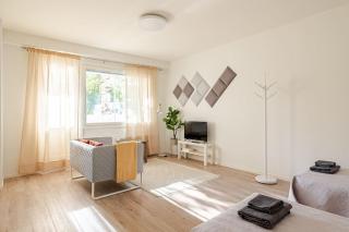 Uudistettu studio kahdelle omalla parkkipaikalla - Rovaniemi - 0