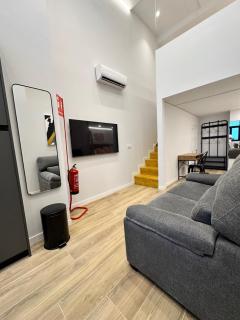 LOFT Accommodative B - 7