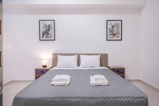 Oculus Kalithea Irakleous Apt 1, by Live&Travel - 8
