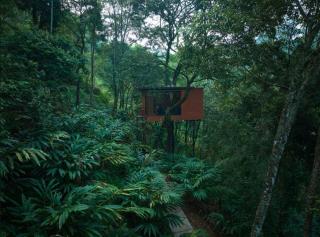 Eterno Camellia & Elettaria Resort with Pool - 4