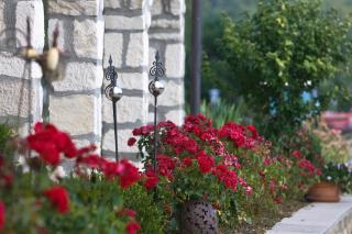 Remushof Jagschitz - 1