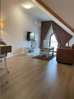 Apartment in the Villa Northern Dreams #3 PARKING INCLUDED IN PRICE - Timişoara - 0