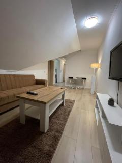 Apartment in the Villa Northern Dreams #3 PARKING INCLUDED IN PRICE - Timişoara - 9