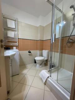 Apartment in the Villa Northern Dreams #3 PARKING INCLUDED IN PRICE - Timişoara - 3