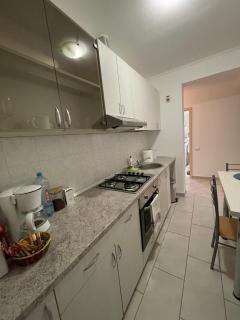 Apartment in the Villa Northern Dreams #3 PARKING INCLUDED IN PRICE - Timişoara - 6