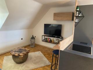Schönes Apartment mit Aussicht über Graz - Graz - 5