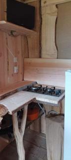 Cabane aux papillons - 1