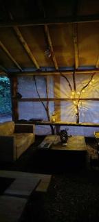 Cabane aux papillons - 5