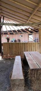 Cabane aux papillons - 6