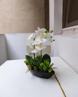 Old City- Big Studio - 2