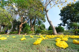 Had Ban Din Resort - Kanchanaburi - 1