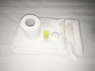 Meaco Royal Hotel- ILagan - 3