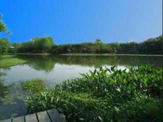 Country Garden Phoenix Hotel Anqing - 1