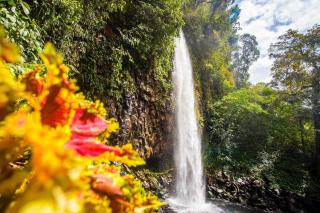Bunda House Syariah - Padang - 4