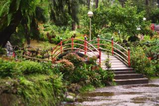 Kamiseta Hotel - Baguio - 3