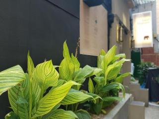 Hotel Elephant - Busan - 6