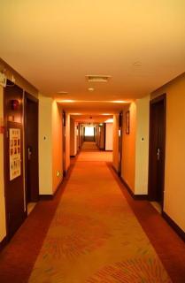 Borrman Hotel Dongguan Changping Avenue - Dongguan - 6