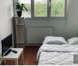 Zénith Strasbourg 2 chambre - Eckbolsheim - 4