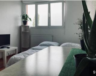 Zénith Strasbourg 2 chambre - Eckbolsheim - 1