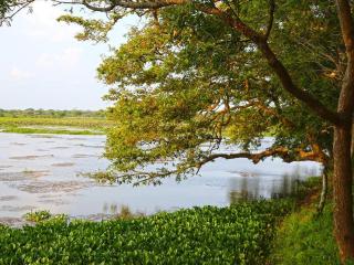Bestlife Eco Resort Mattala Airport - Tissamaharama - 4