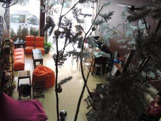 Halong Happy Hostel - Ha Long - 1