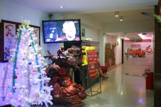 Phuong Hoang Hotel - Ho Chi Minh - 3