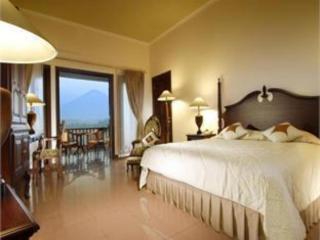 The Oxalis Regency Hotel - Magelang - 6