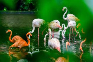 City Comfort Inn Guangzhou Baiyun Mountain - Guangzhou - 8