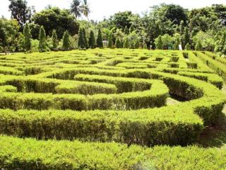 Naga Land Hotel - Naga - 7