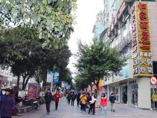 Guiin Homing Hotel - Guilin - 3