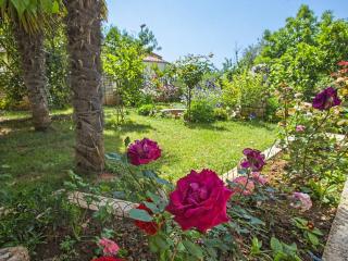 Apartment Danica-1 by Interhome - 2