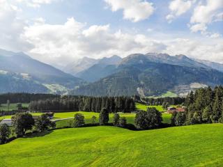 Apartment Top 1 by Interhome - Hollersbach im Pinzgau - 9