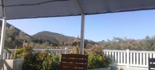 The Olive Forest Garden Loft - Montagu - 2