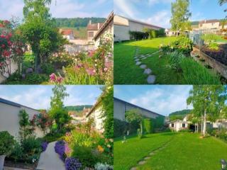 Les Galipes - Avize - 3