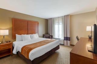 Comfort Inn Kennesaw - Kennesaw - 5
