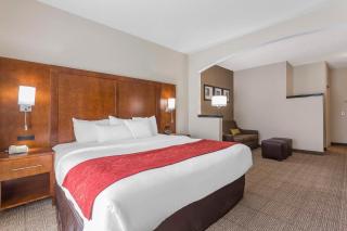 Comfort Suites Salisbury I-85 - Salisbury - 3
