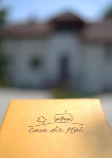 Casa din Plai - Proviţa de Sus - 9