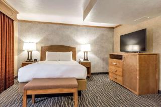 Radisson Hotel Salt Lake City Airport - Salt Lake City - 1